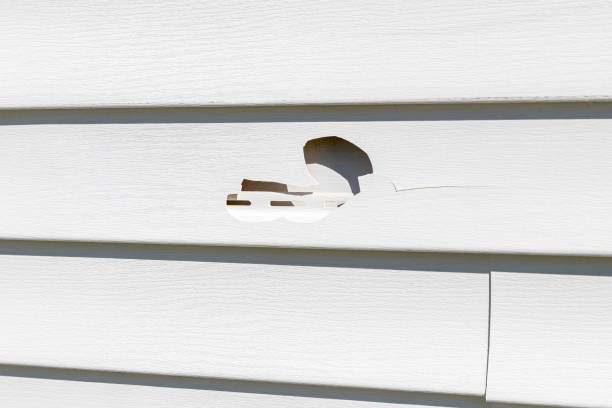 Best Property Management Cleanouts  in Indian Hills, NM