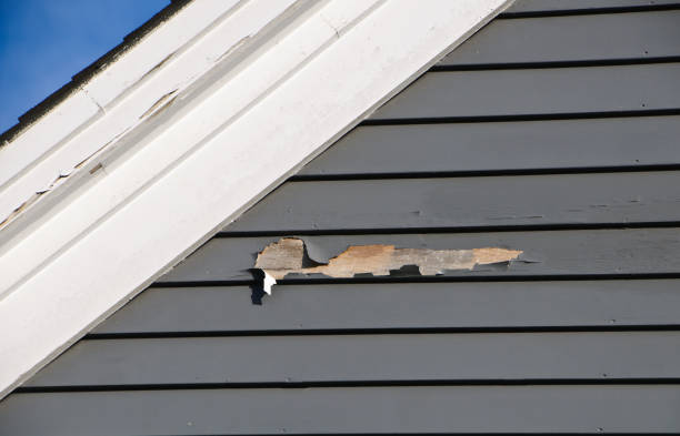 Best Demolition Debris Removal  in Indian Hills, NM